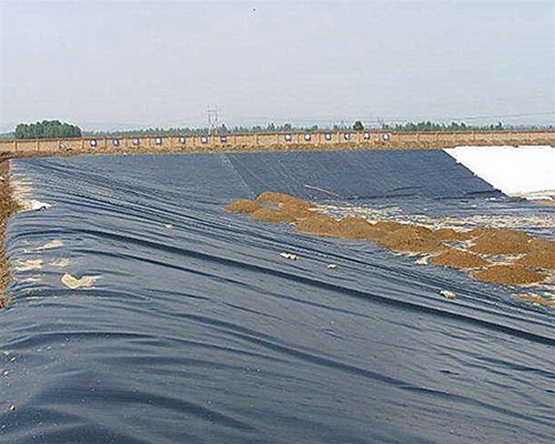 低價(jià)格魚(yú)塘防滲土工膜